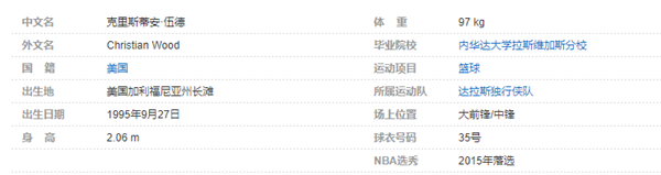 克里斯蒂安-伍德个人详细资料简介: